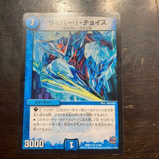 Cyber I. Choice R 17/94