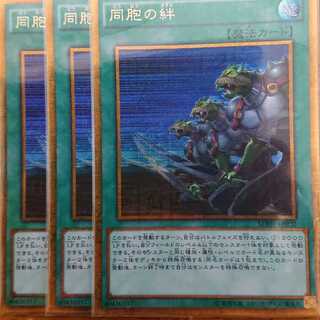 【送料込み】同胞の絆 ミレニアムゴールド