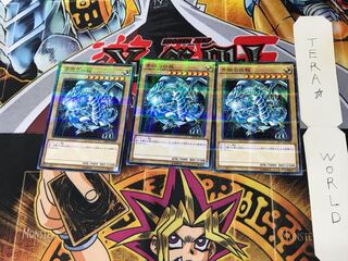 青眼の白龍 sdk」の激安通販 | magi
