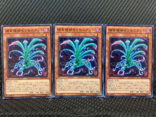 【ぽぽたん】遊戯王 8976 捕食植物セラセニアント 3枚 ノーマル