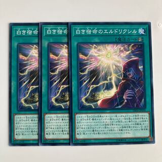 9728 白き宿命のエルドリクシル ノーマル JP030