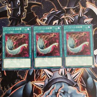 ハーピィの羽根帚