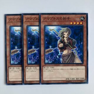 9744 アマゾネスの射手 ノーマル JP012