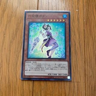 六花精ボタン　スー1枚