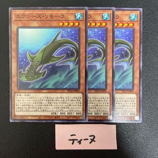 エクシーズ・リモーラ ノーマル JP009 3枚