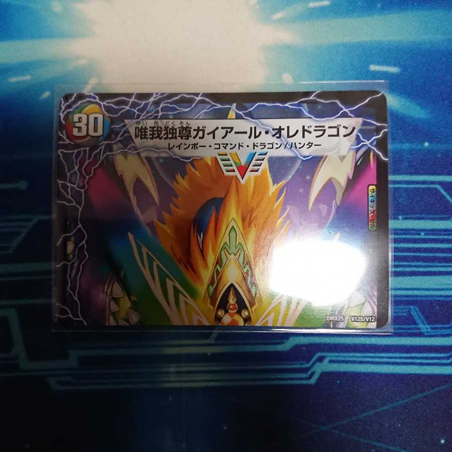 勝利のガイアール・カイザー