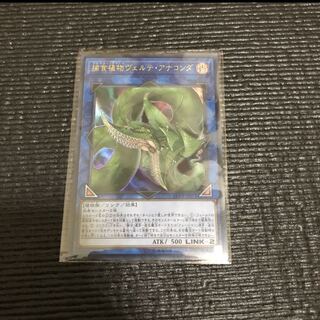 捕食植物ヴェルテ・アナコンダ UR