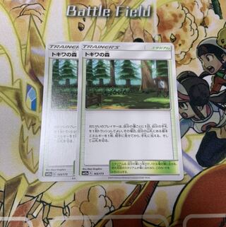 トキワの森  残1枚