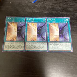 Front and back: 3 normal