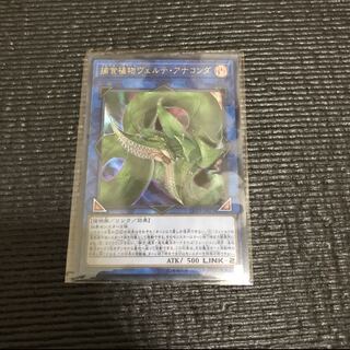捕食植物ヴェルテ・アナコンダ UR
