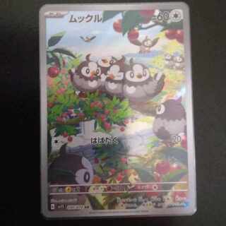 Exclusive Starly AR and Sea Diglett 2-piece set