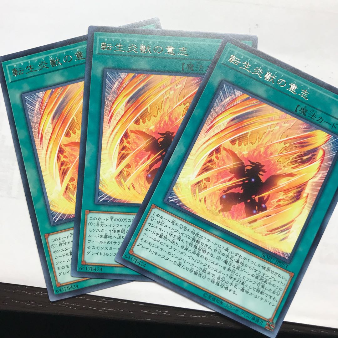 転生炎獣の意志