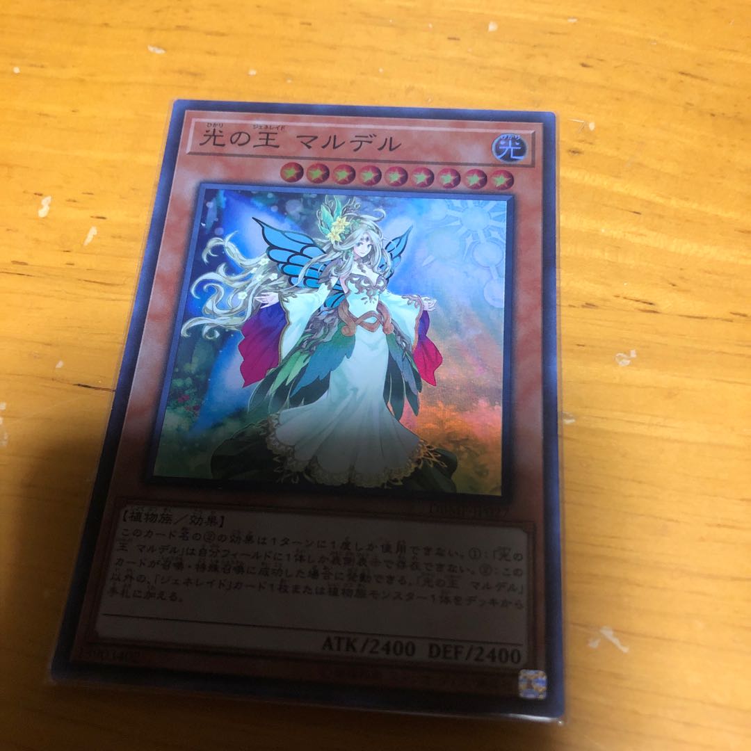 光の王マルデル　1枚のみ