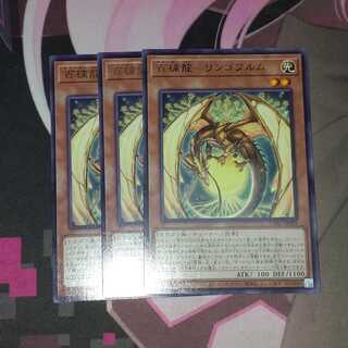 百檎龍-リンゴブルム レア JP029 CYBERSTORM ACCESS 3枚