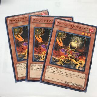 ローンファイアブロッサム