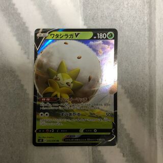 最安値！ワタシラガV(RR)