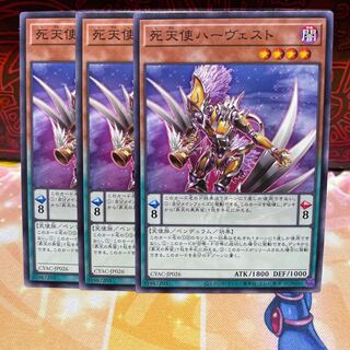 No.907 P屋　死天使ハーヴェスト 【ノー】