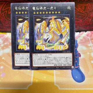 No.134 P屋　電脳堺虎-虎々 【レア】