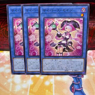 No.135 P屋　サイバース・セイジ 【ノー】