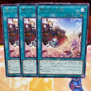 No.1228 P屋　開かれし大地 【レア】