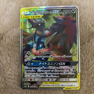 ゲッコウガ&ゾロアーク スペシャルアートSA