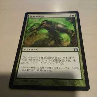 Magic the Gathering 1枚
