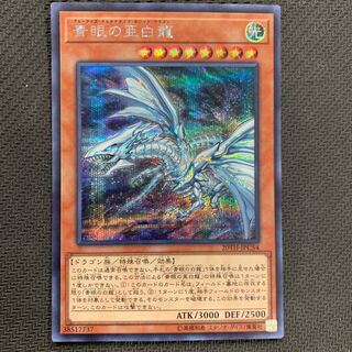 青眼の亜白龍