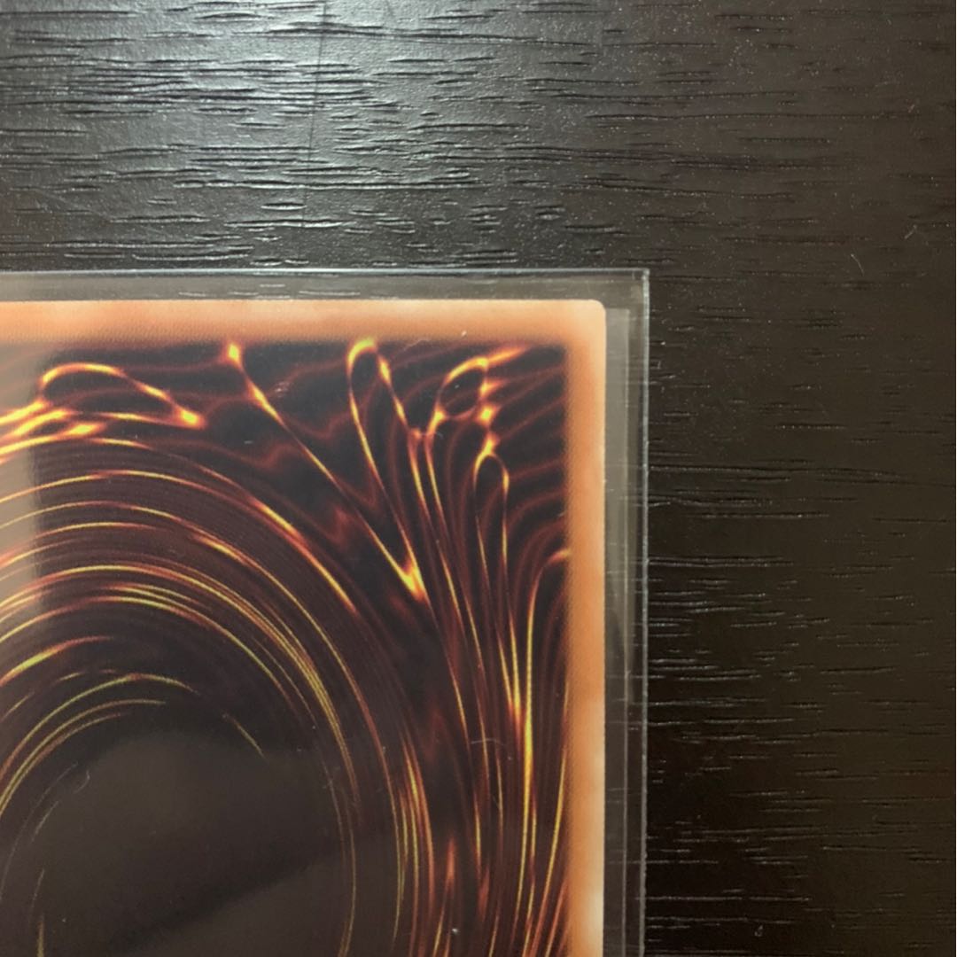 遊戯王 竜嵐還帰 20th