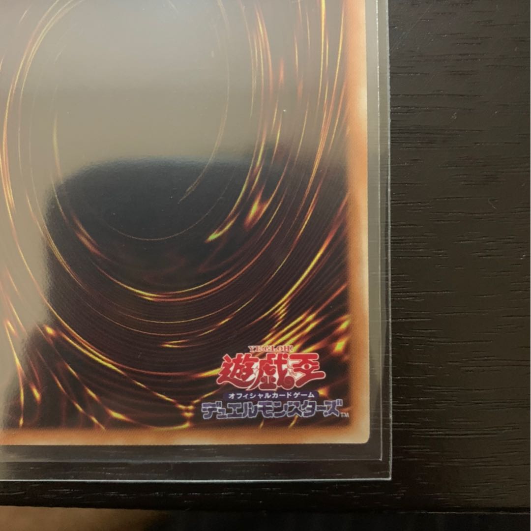 遊戯王 竜嵐還帰 20th