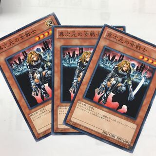 異次元の女戦士