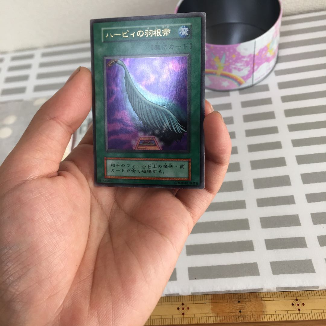 準美品ハーピィの羽根箒 1枚