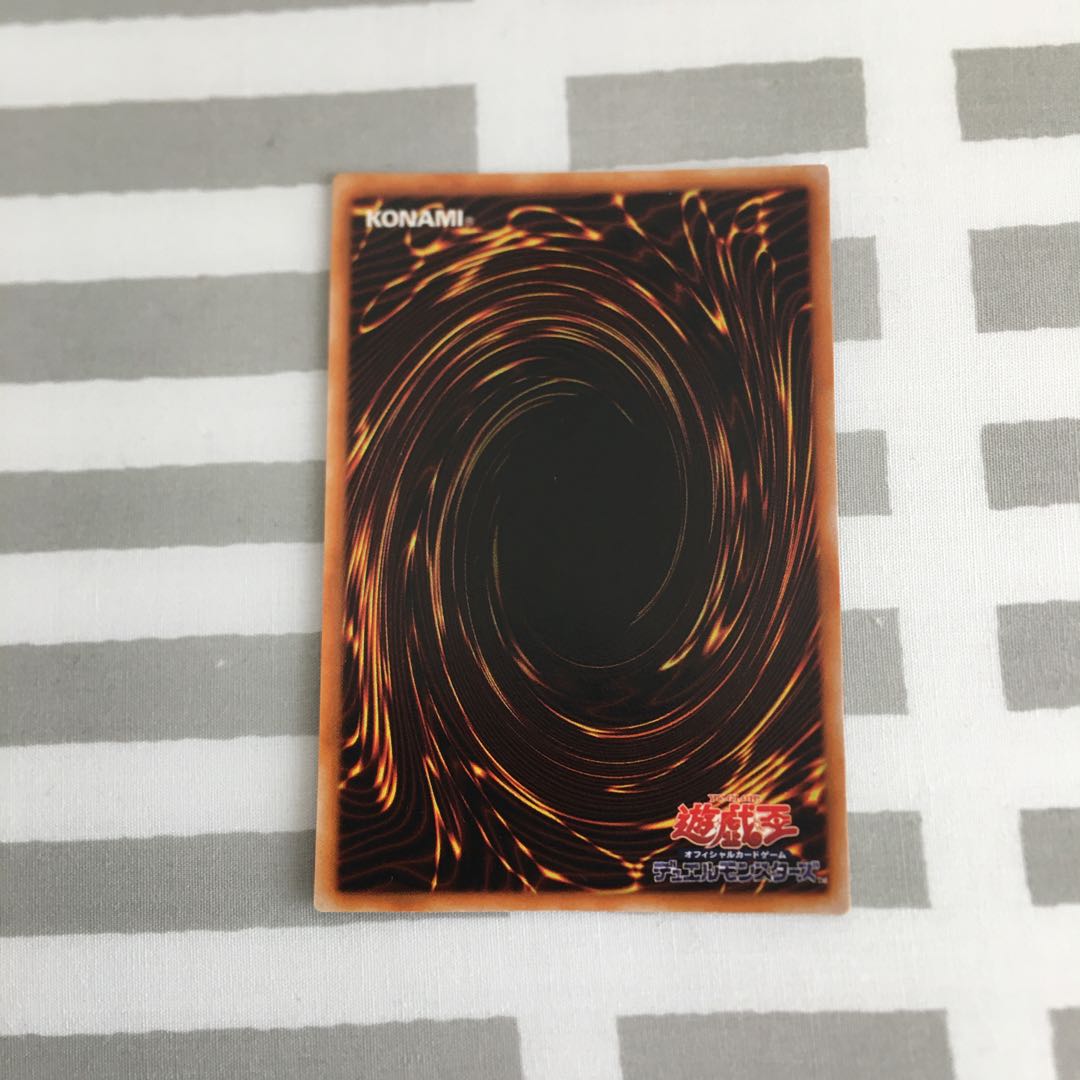 準美品ハーピィの羽根箒 1枚