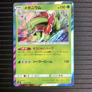 同梱で値引きあり　メガニウム　そうじゅくハーブ