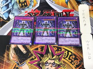 Vision HERO Adoration DBLE 5 Normal Parallel Set of 3 Tera