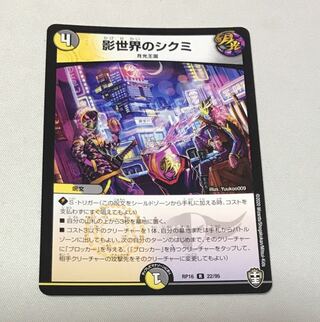 影世界のシクミ R 22/95