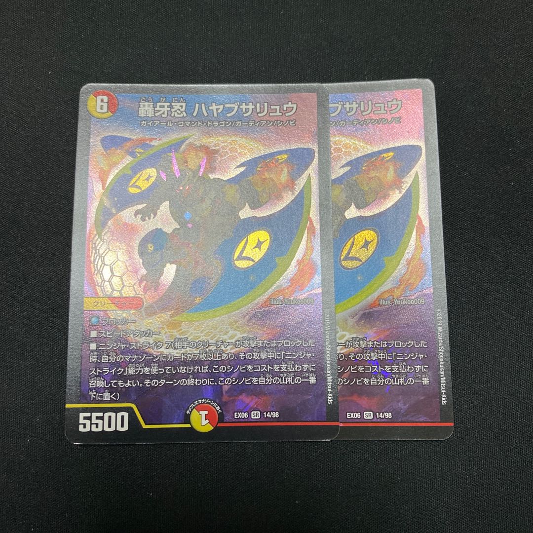 ハヤブサリュウ