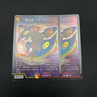 ハヤブサリュウ