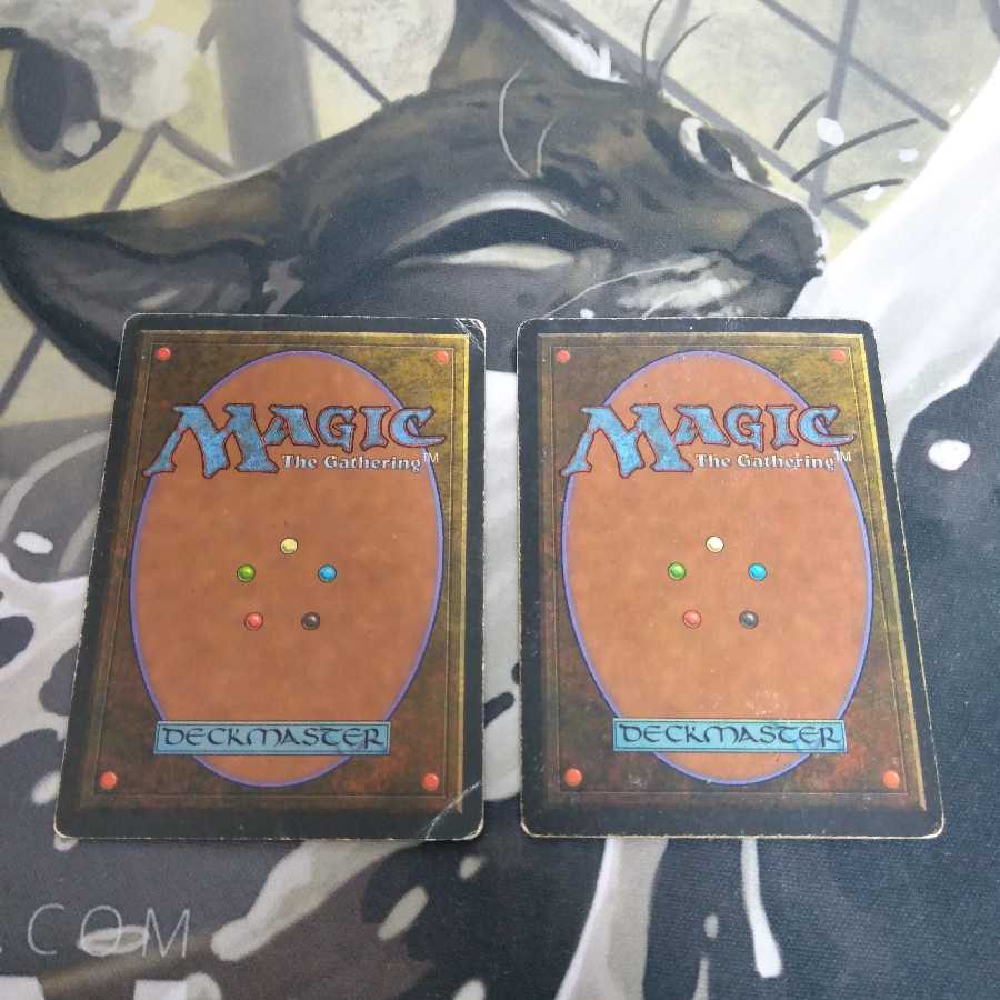 Volcanic Island Tundra 2枚セット　