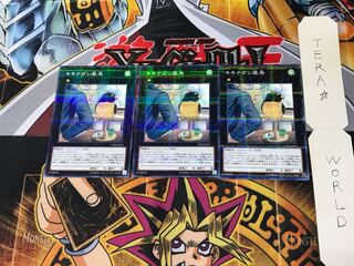 キキナガシ風鳥 17PR 1 ノーマルパラレル 3枚セット てら