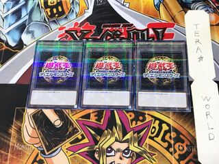 トークン 17PR 5 ノーマルパラレル 3枚セット てら