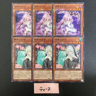 浮幽さくら ノーパラ3枚 儚無みずき ノーパラ3枚