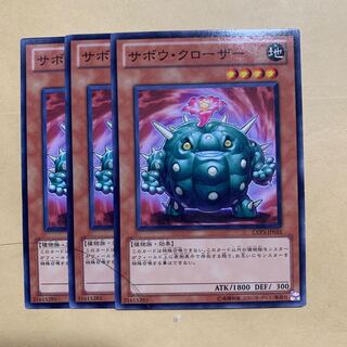 Cactus Bouncer Normal JP035