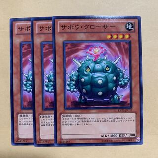 Cactus Bouncer Normal JP035
