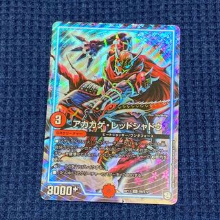 アカカゲ・レッドシャドウ