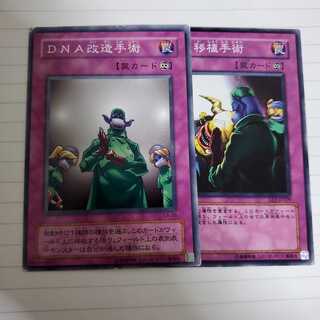 DNA改造手術　DNA移植手術