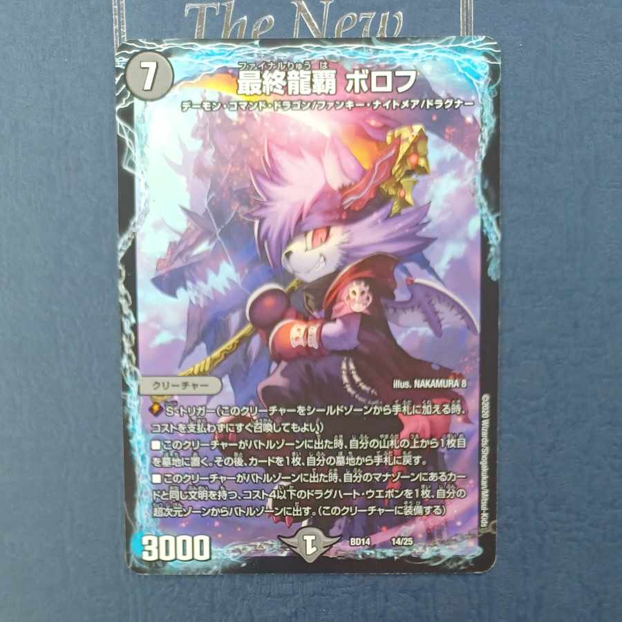 Final Dragon Heights Borov 14/25