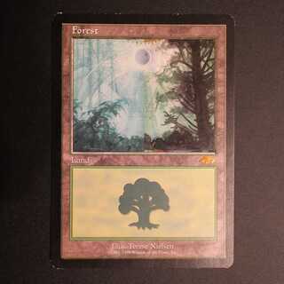 PRM【森】グルランド 英語