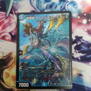 海姫龍 ライベルモット・ビターズ SR S7/S20