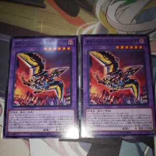 Dynorphia stealthbegia rare JP039