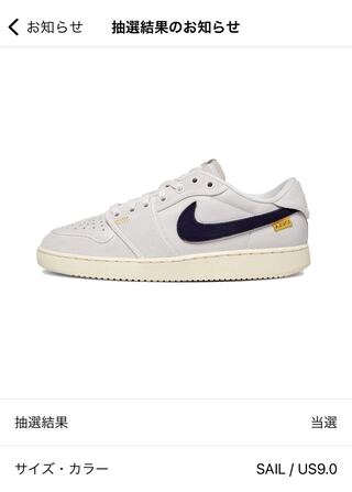 Union x Nike Air Jordan 1 Low KO "Sail Leather" Sail/Muslin/Slate Warrior Rural Grey DZ4864-100 27cm